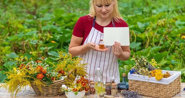 Medicinal Herbs Table Place Notepad Text Woman Selective Focus Nature — Stock fotografie