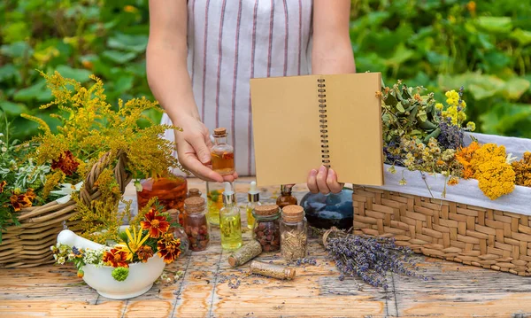 Medicinal Herbs Table Place Notepad Text Woman Selective Focus Nature — Stock Photo, Image