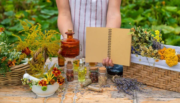 Medicinal Herbs Table Place Notepad Text Woman Selective Focus Nature — Stock Photo, Image