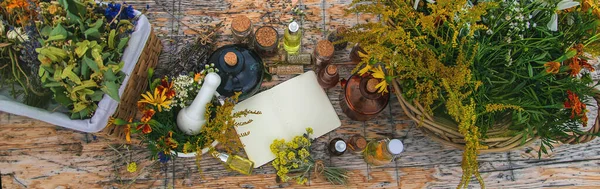 Medicinal Herbs Table Place Notepad Text Selective Focus Nature — Stock Fotó