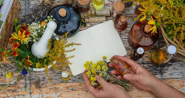 Medicinal Herbs Table Place Notepad Text Selective Focus Nature — Stockfoto