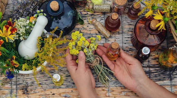 Woman Medicinal Herbs Tinctures Selective Focus Nature — Stock Photo, Image