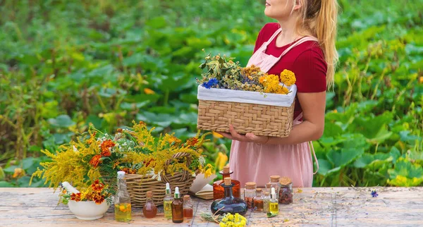Woman Medicinal Herbs Tinctures Selective Focus Nature — Stockfoto