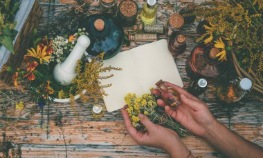 Medicinal herbs on the table. Place for notepad text. Selective focus. Nature.