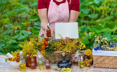 Medicinal herbs on the table. Place for notepad text. woman. Selective focus. nature.