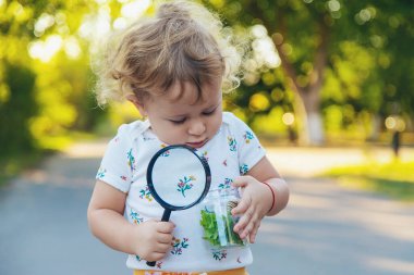 A child is studying a snail in the park. Selective focus. Nature.