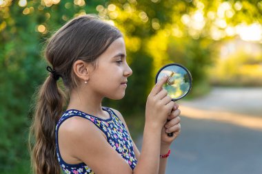 A child is studying a snail in the park. Selective focus. Nature.