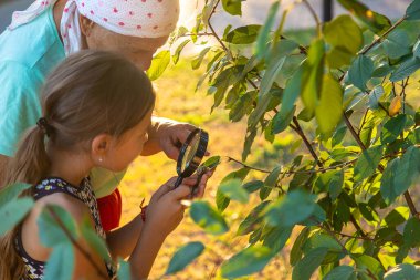Grandmother and child are studying the snail in the park. Selective focus. Nature.