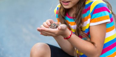 The child is playing with the frog. Selective focus. Kid.