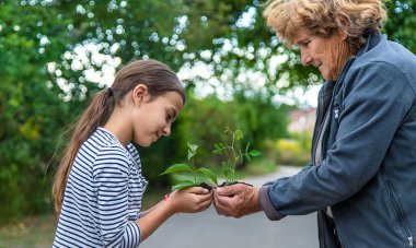 The child and grandmother are planting a tree. Selective focus. Kid.