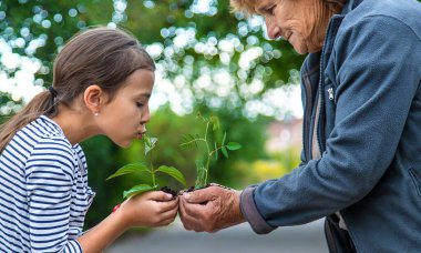 The child and grandmother are planting a tree. Selective focus. Kid.
