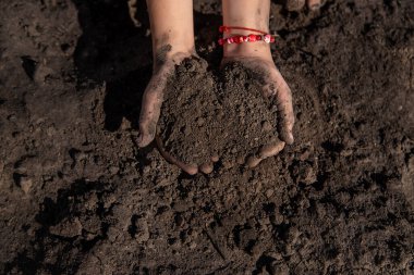 Çocuk bahçedeki toprağı tutuyor. Seçici odaklanma. çocuk.