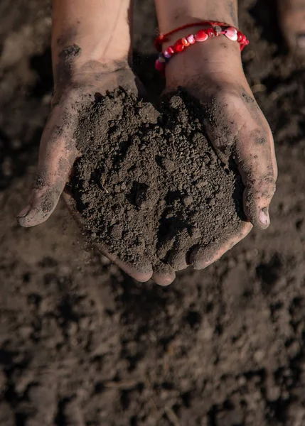 Het Kind Houdt Grond Tuin Selectieve Focus Jongen — Stockfoto