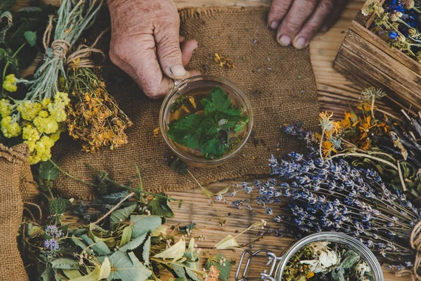 Grandmother makes tea with medicinal herbs. Selective focus. Nature.