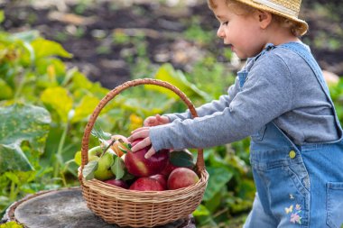 Bahçede elmalı çocuk. Seçici odaklanma. Çocuk.