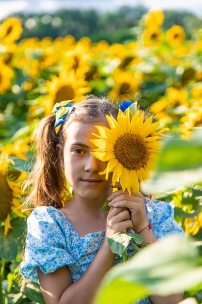 Дитина Полі Соняшників Україна Вибіркове Фокусування Природа — стокове фото