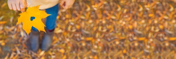 Kinder Park Mit Herbstlaub Selektiver Fokus Natur — Stockfoto