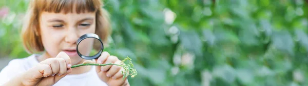 Bambino Con Una Lente Ingrandimento Mano Focus Selettivo — Foto Stock