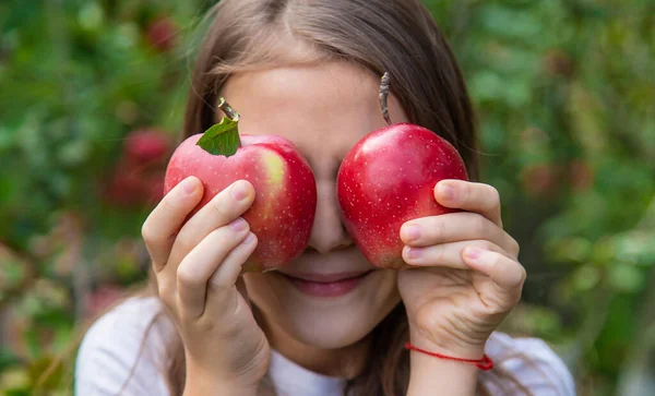 어린이는 정원에서 사과를 거둔다 선택적 집중입니다 — 스톡 사진