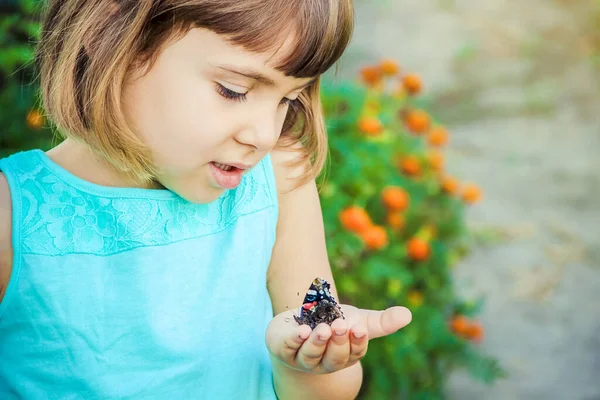 Παιδί Πεταλούδα Επιλεκτική Εστίαση Φύση Και Παιδί — Φωτογραφία Αρχείου