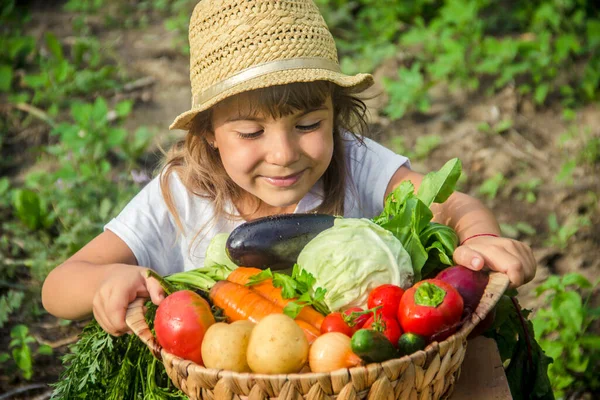 農場の子供と野菜 選択的フォーカス — ストック写真