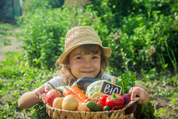 Enfant Légumes Ferme Concentration Sélective Nature — Photo