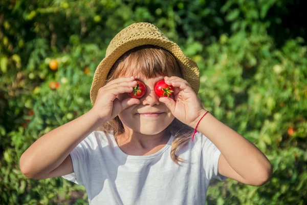 Enfant Légumes Ferme Concentration Sélective Nature — Photo