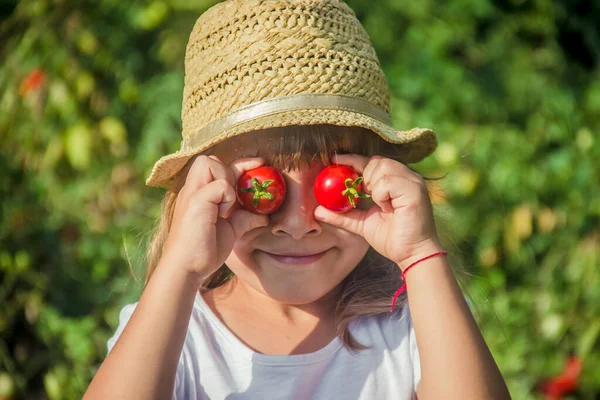 Kind Und Gemüse Auf Dem Hof Selektiver Fokus Natur — Stockfoto