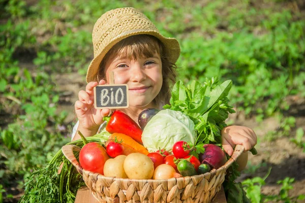 Bambino Verdure Azienda Concentrazione Selettiva Natura — Foto Stock