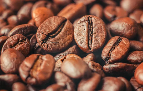 Kávébab Egy Csésze Kávét Szelektív Fókusz Igyál — Stock Fotó