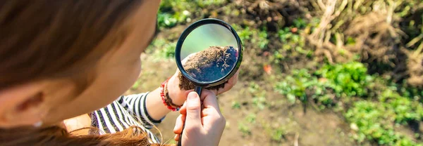 Bambini Esaminano Terreno Con Una Lente Ingrandimento Concentrazione Selettiva Ragazzo — Foto Stock