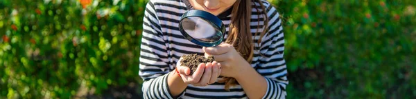 Barn Undersöker Jorden Med Ett Förstoringsglas Selektivt Fokus Grabben — Stockfoto