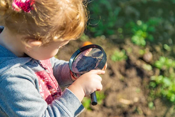 孩子们用放大镜检查土壤 有选择的重点 — 图库照片
