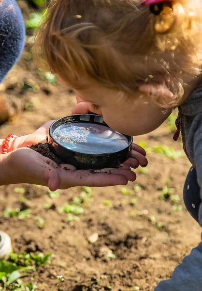 Bambini Esaminano Terreno Con Una Lente Ingrandimento Concentrazione Selettiva Ragazzo — Foto Stock