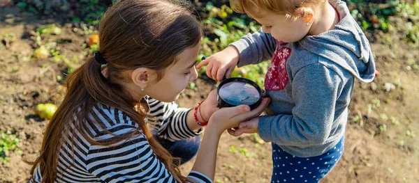 Children Examine Soil Magnifying Glass Selective Focus Kid — Stock Photo, Image