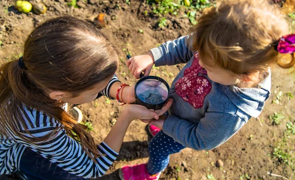 子供たちは虫眼鏡で土壌を調べます 選択的フォーカス キッド — ストック写真