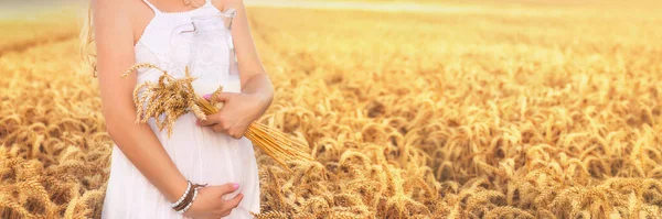 Buğday Tarlasında Sütle Hamile Bir Kadın Seçici Odaklanma Doğa — Stok fotoğraf