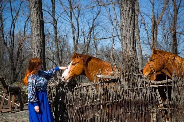 Женщина Синем Платье Возле Лошади — стоковое фото