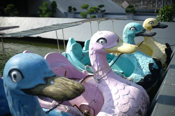 Su parkında pedal çeviren bir araca sıralanmış kuğu başları..