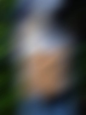 Yeşil ve mavi tonlarda yumuşak bulanık arkaplan.