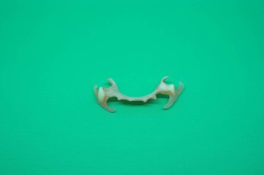 Takma dişlerin dizilişi sadece iki bölümden oluşuyor..