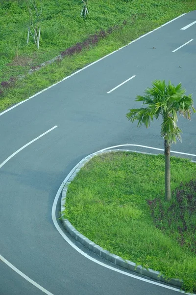 Empty Asphalt Road Cuts Green Grass Field — Stock Photo, Image