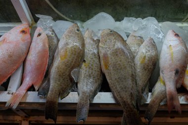 Satılık örnek olarak Grouper satıldı.