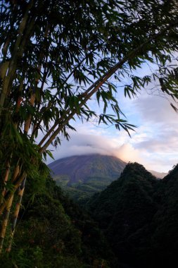 Merapi Dağı 'nın zirvesi merceksi bulutlarla kaplı yamaçlardaki bambu ağaçlarının çerçevesinde görülebilir..