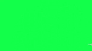 plane animation with green screen in 3d style, airplane animation, perfect for youtube and video edit