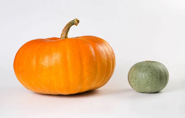 Grandes Citrouilles Orange Petites Citrouilles Vertes Sur Fond Blanc Automne — Photo