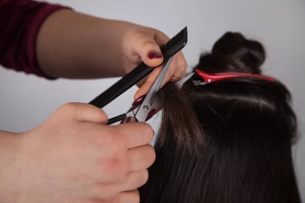 Professional Hairdresser Female Cutting Caucasian Woman Hair — Stock Photo, Image