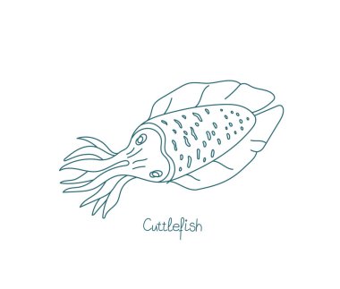 Mürekkep balığı ya da mürekkep balığı deniz yumuşakçasıdır. Vektör konturu. Yolları açın. Düzenlenebilir felç. Özel satır kalınlığı.