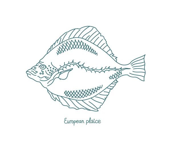 La passera di mare europea. Pleuronectes platessa. Pesce piatto. Sentieri aperti. Ictus modificabile. Spessore linea personalizzato. — Vettoriale Stock