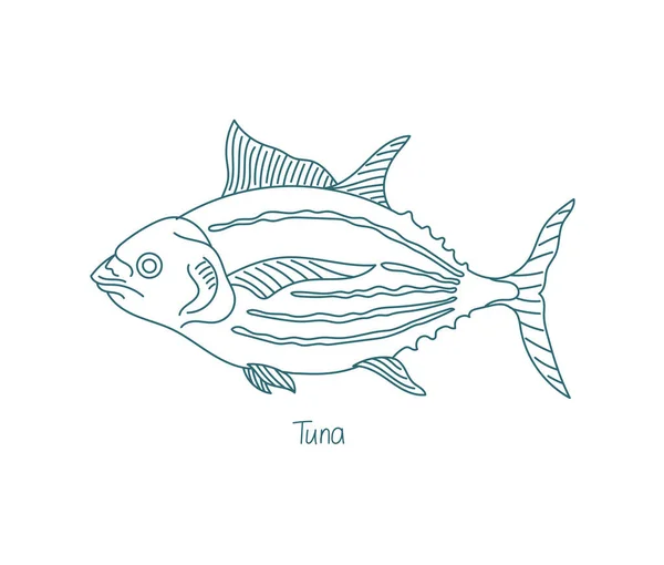 Il tonno è un pesce di acqua salata. Famiglia degli sgombri. Sentieri aperti. Ictus modificabile. Spessore linea personalizzato. — Vettoriale Stock